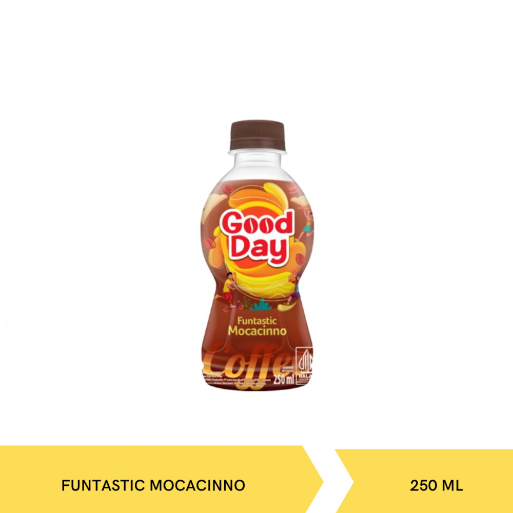 GOOD DAY FUN MOCACINO 250