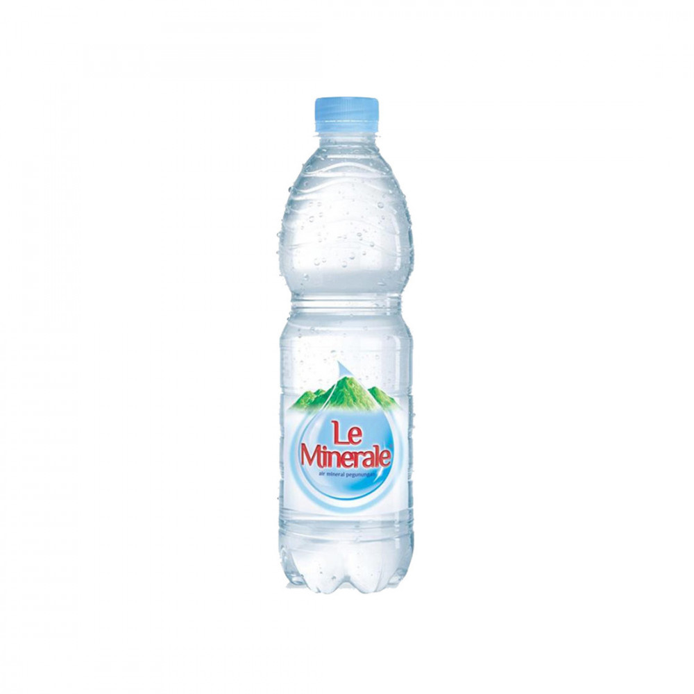 LE MINERALE 600 ML